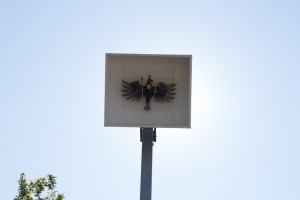 IMG_1604-42