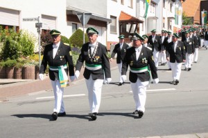 IMG_0228-15